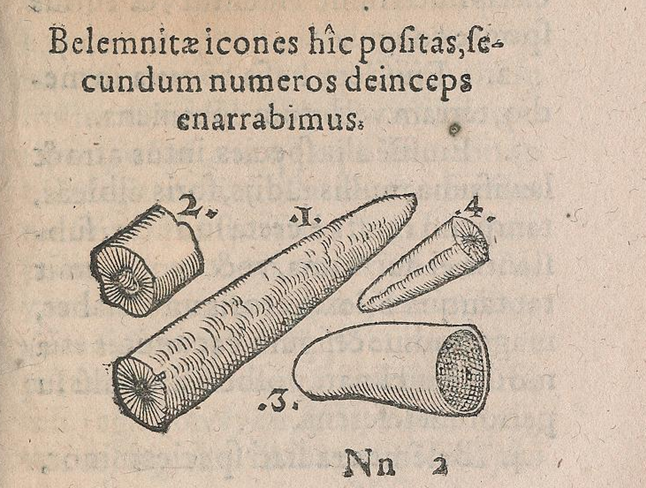 View Full Size Image