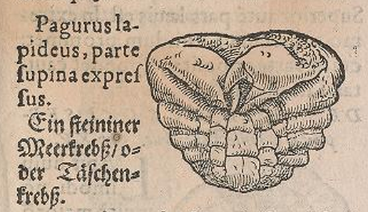 Read the full blog post