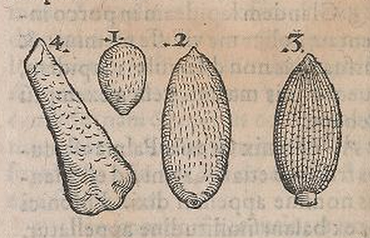 View Full Size Image