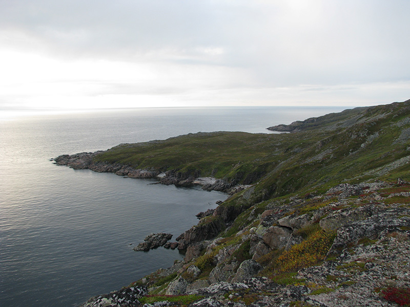 View Full Size Image