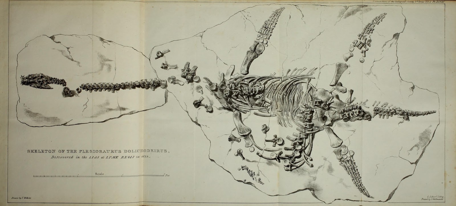 View Full Size Image