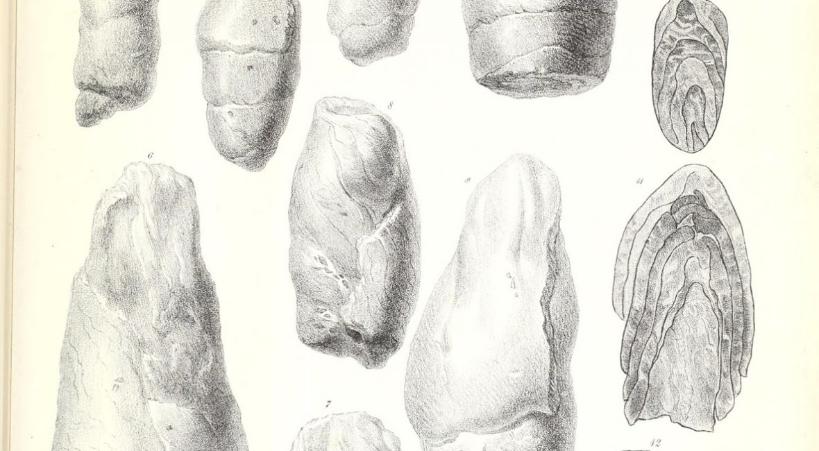 Read the full blog post