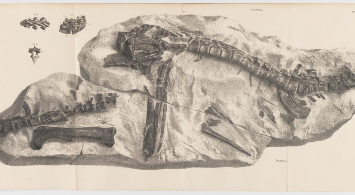 Read the full blog post