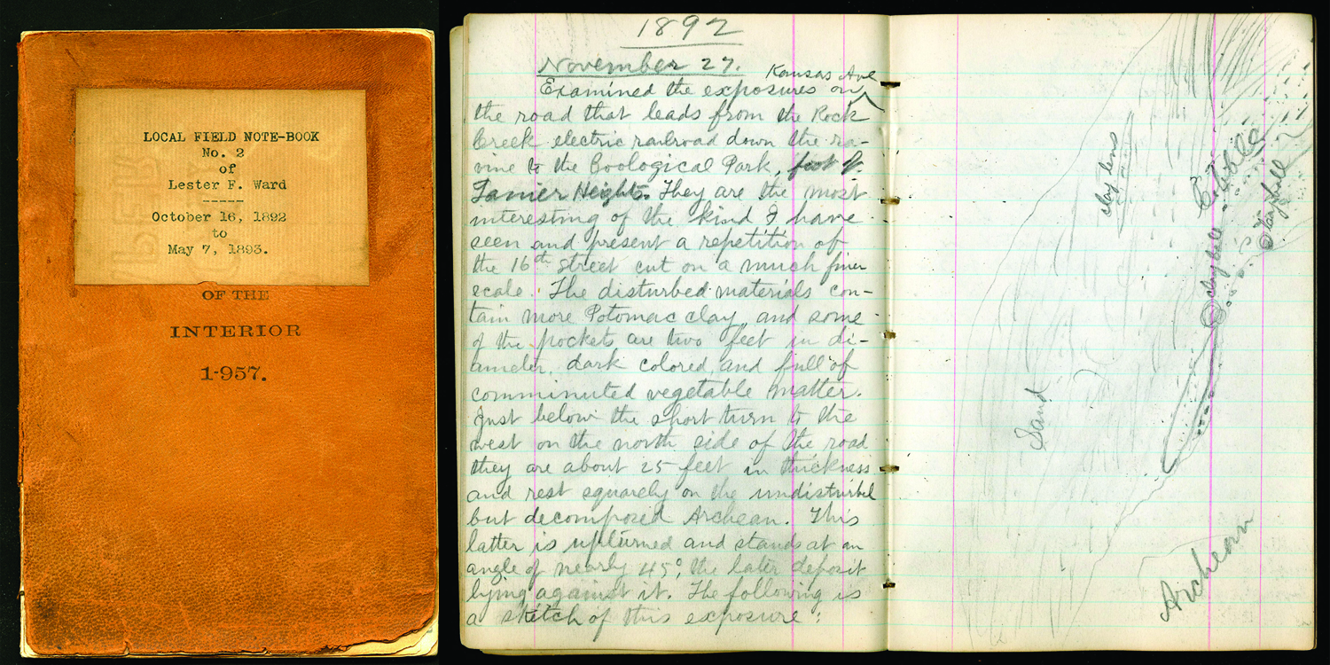 View Full Size Image