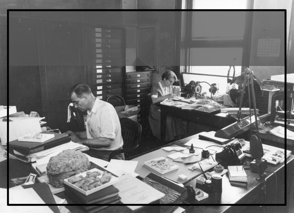 View Full Size Image