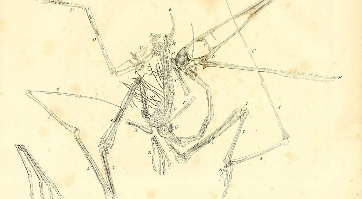 Read the full blog post