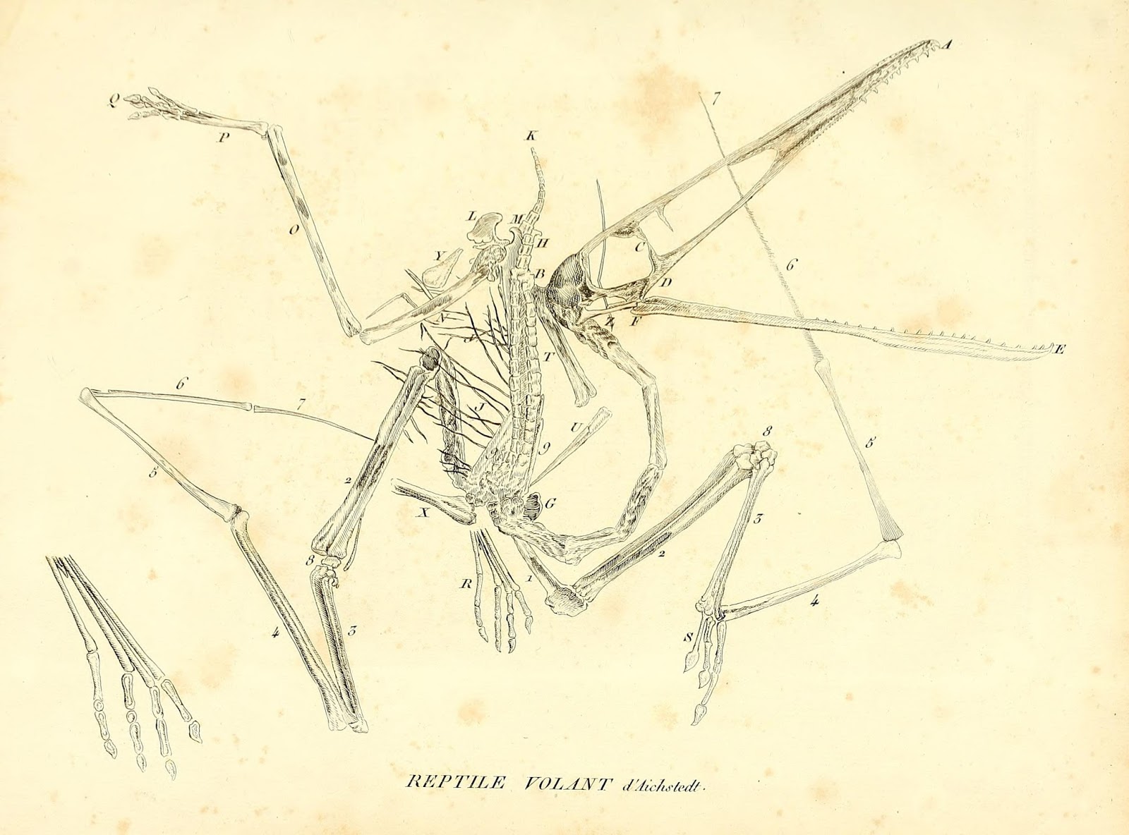 View Full Size Image