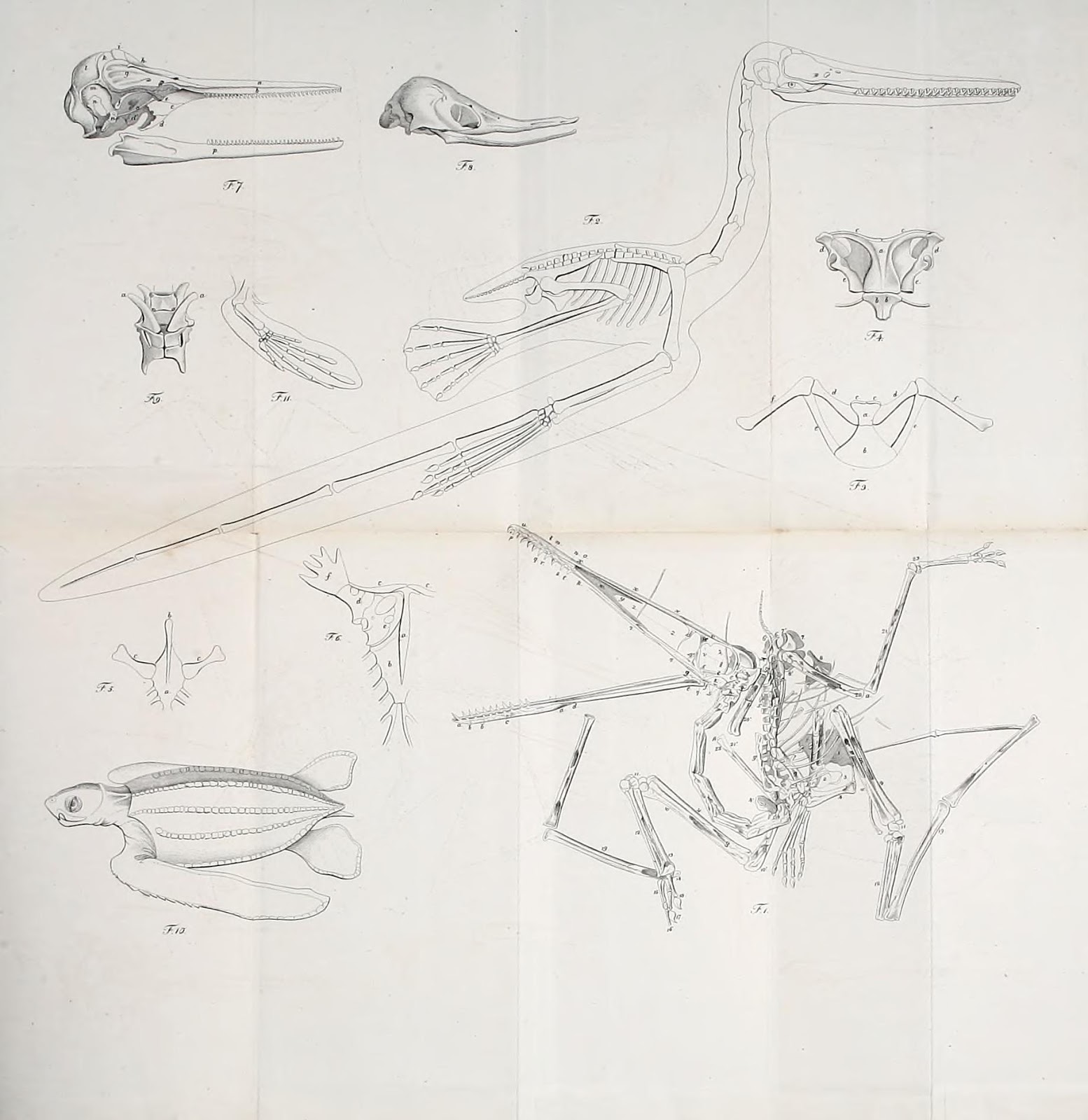 View Full Size Image