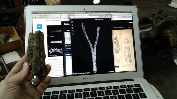 Read the full blog post