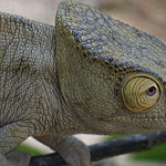 View Full Size Image