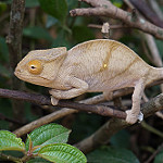 View Full Size Image