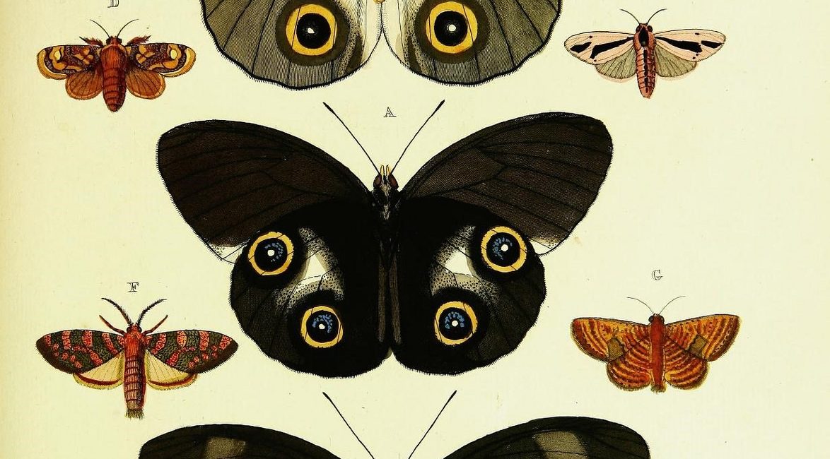 Read the full blog post