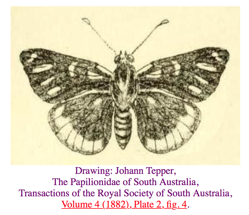 View Full Size Image