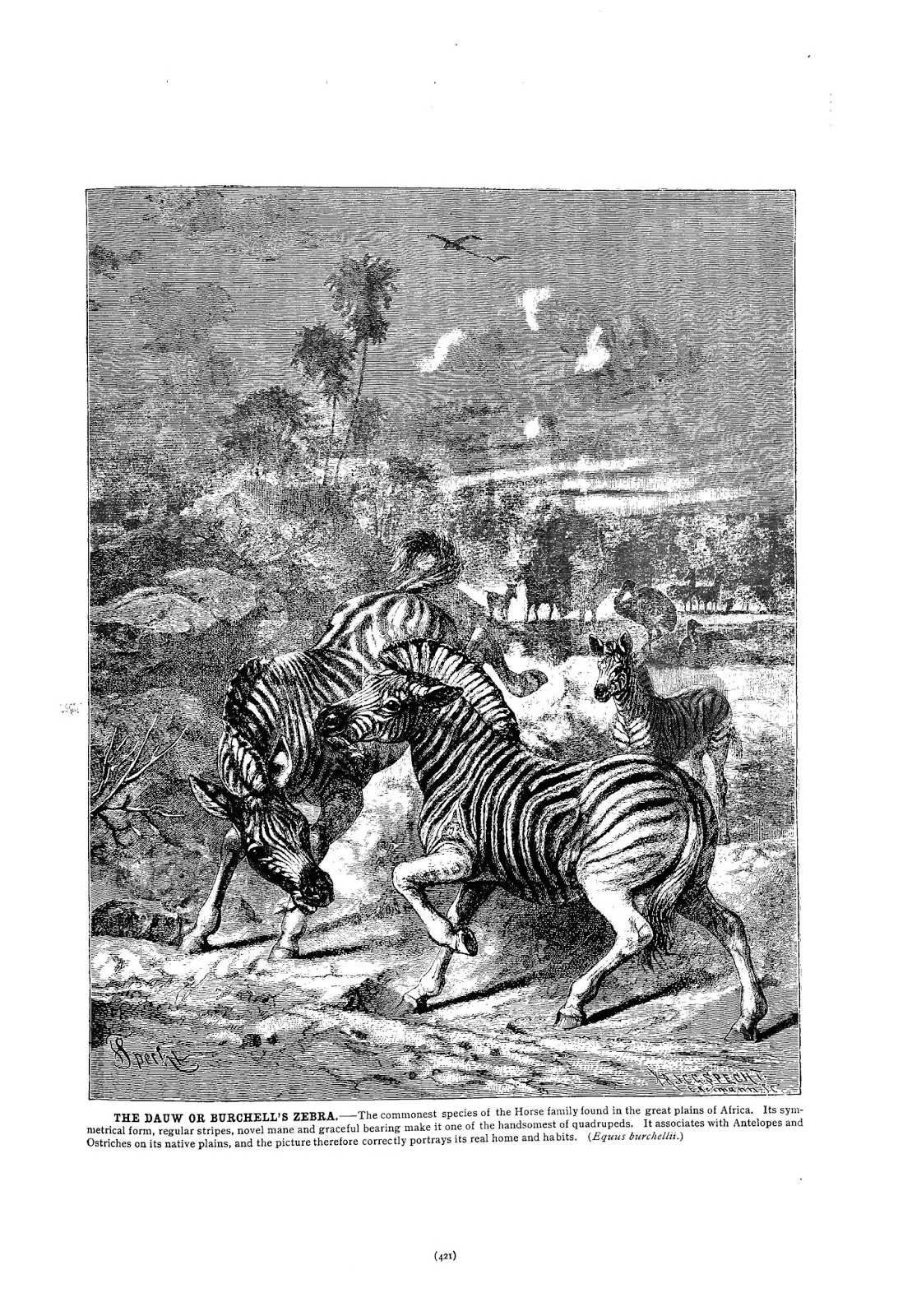 View Full Size Image