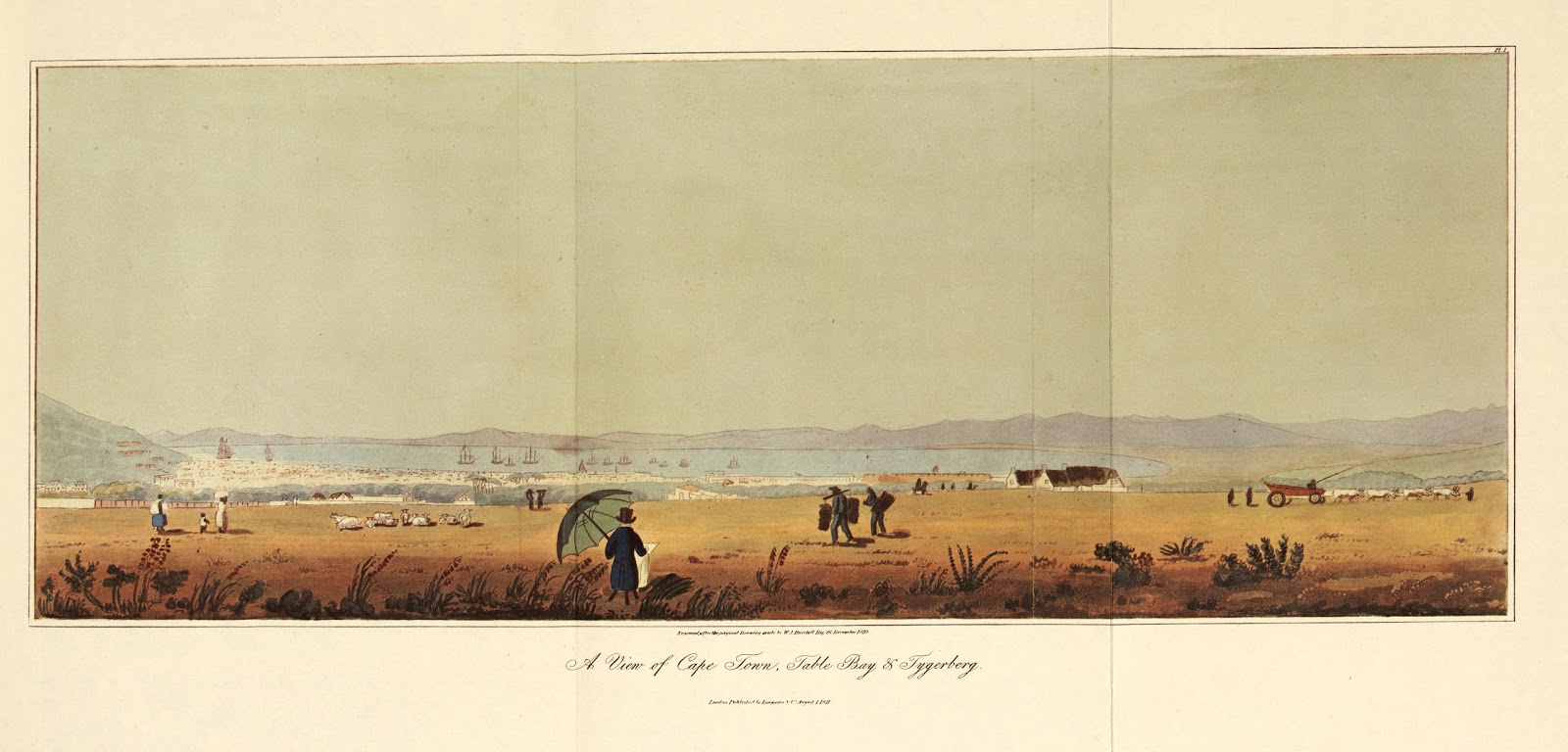 View Full Size Image