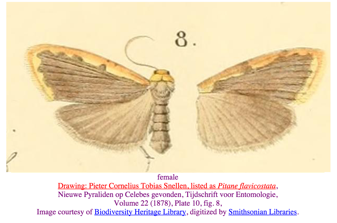 View Full Size Image