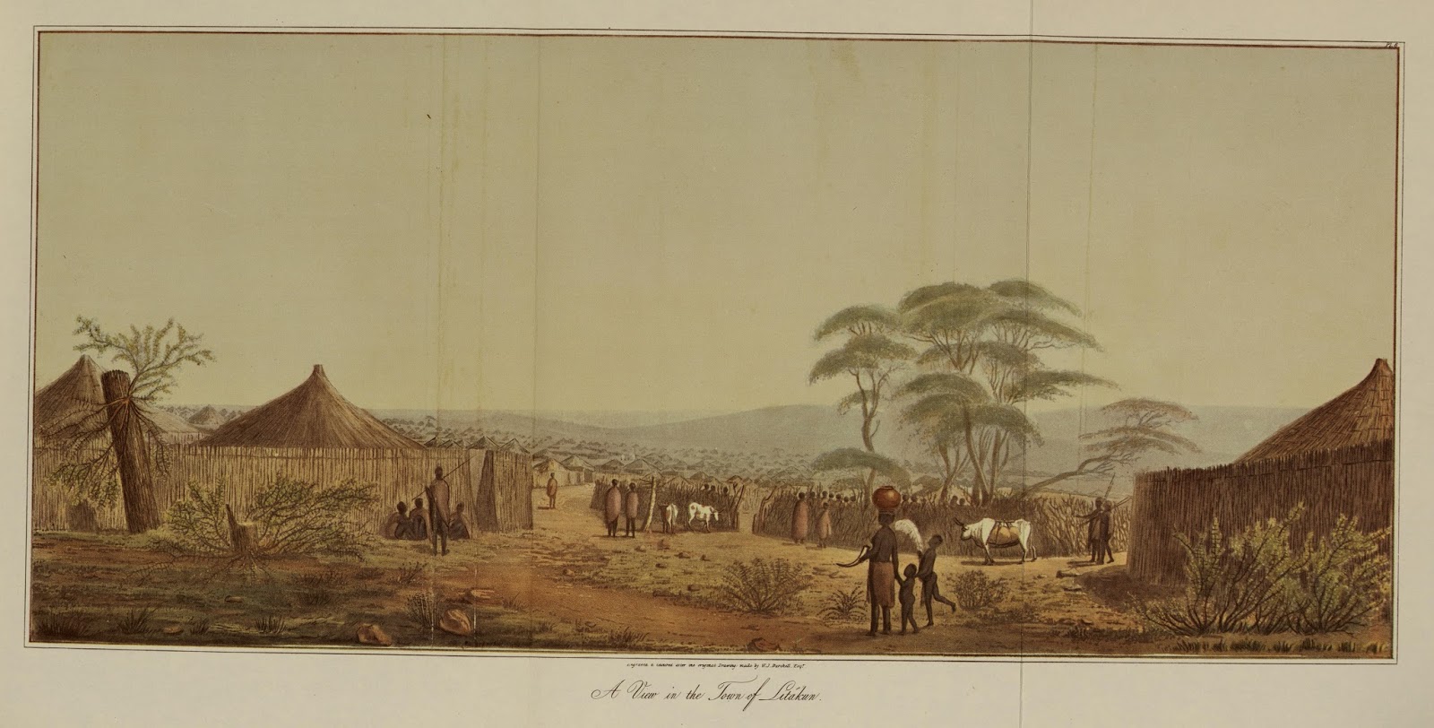 View Full Size Image