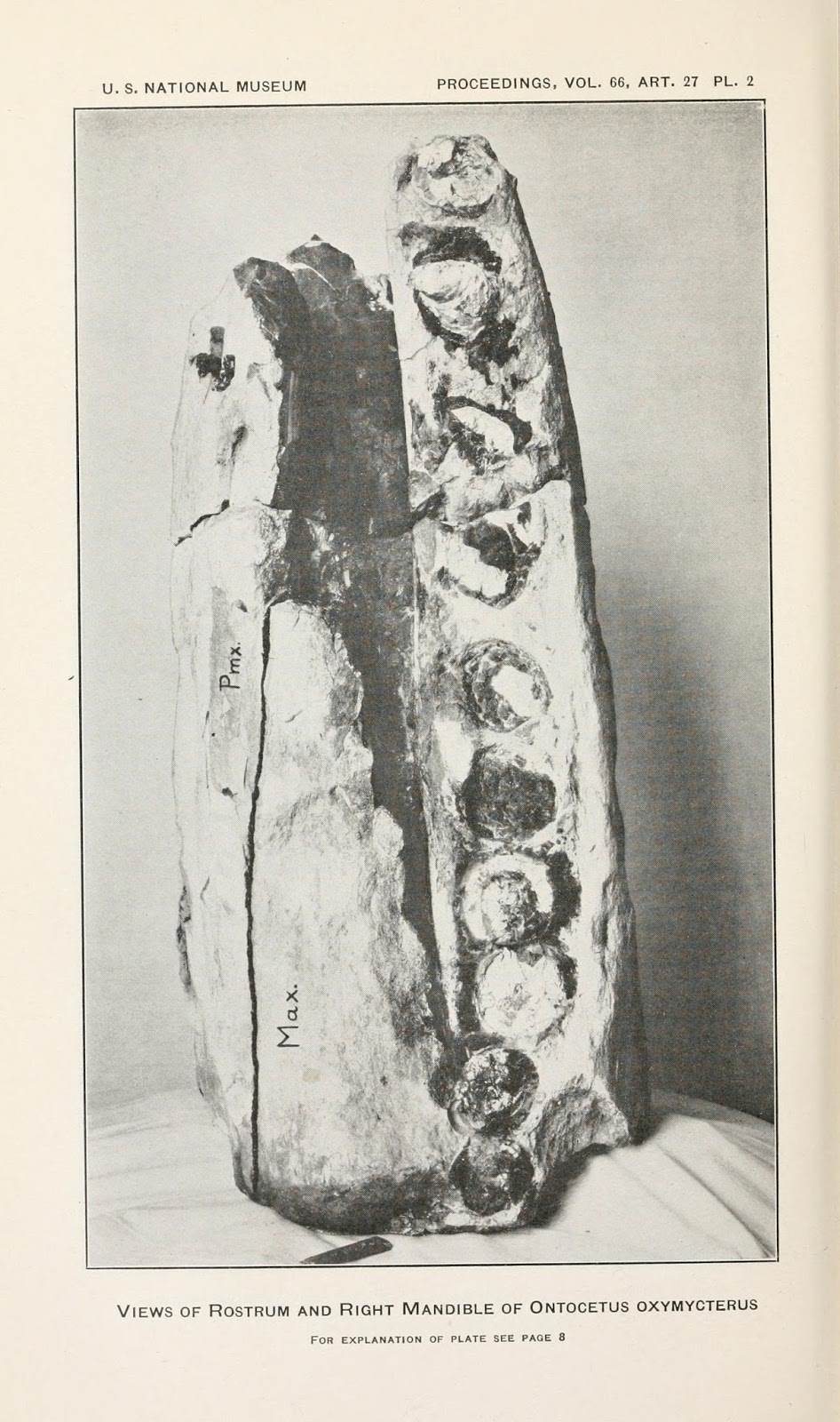 View Full Size Image