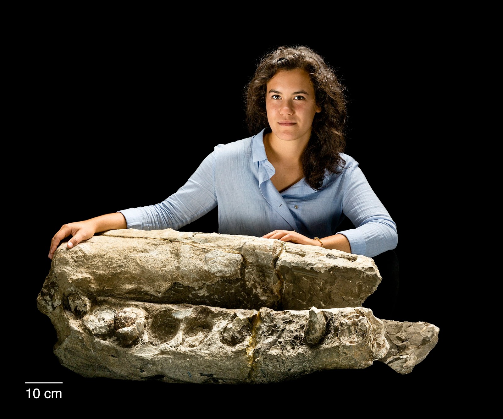 View Full Size Image