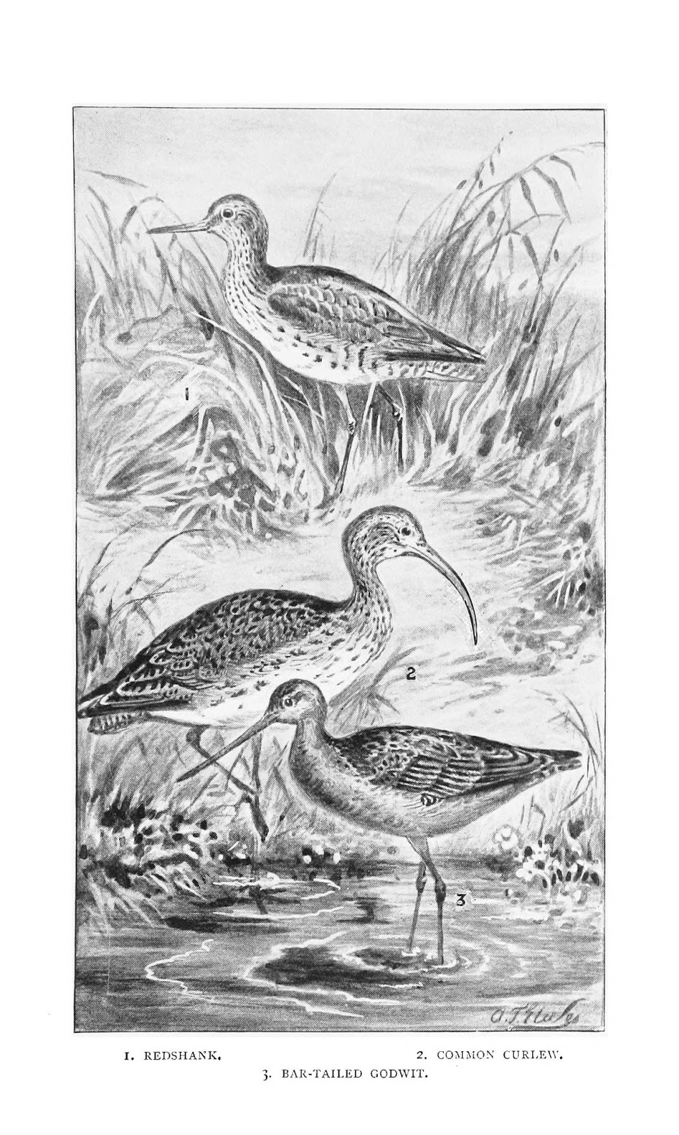 View Full Size Image