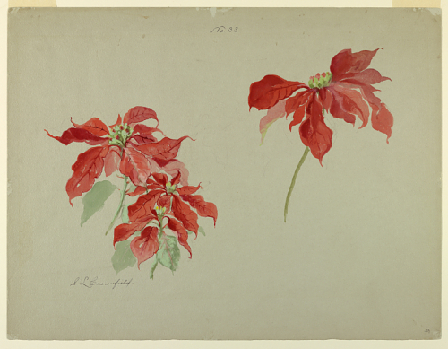 View Full Size Image