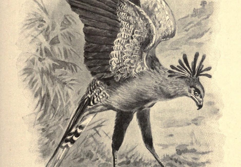 Read the full blog post