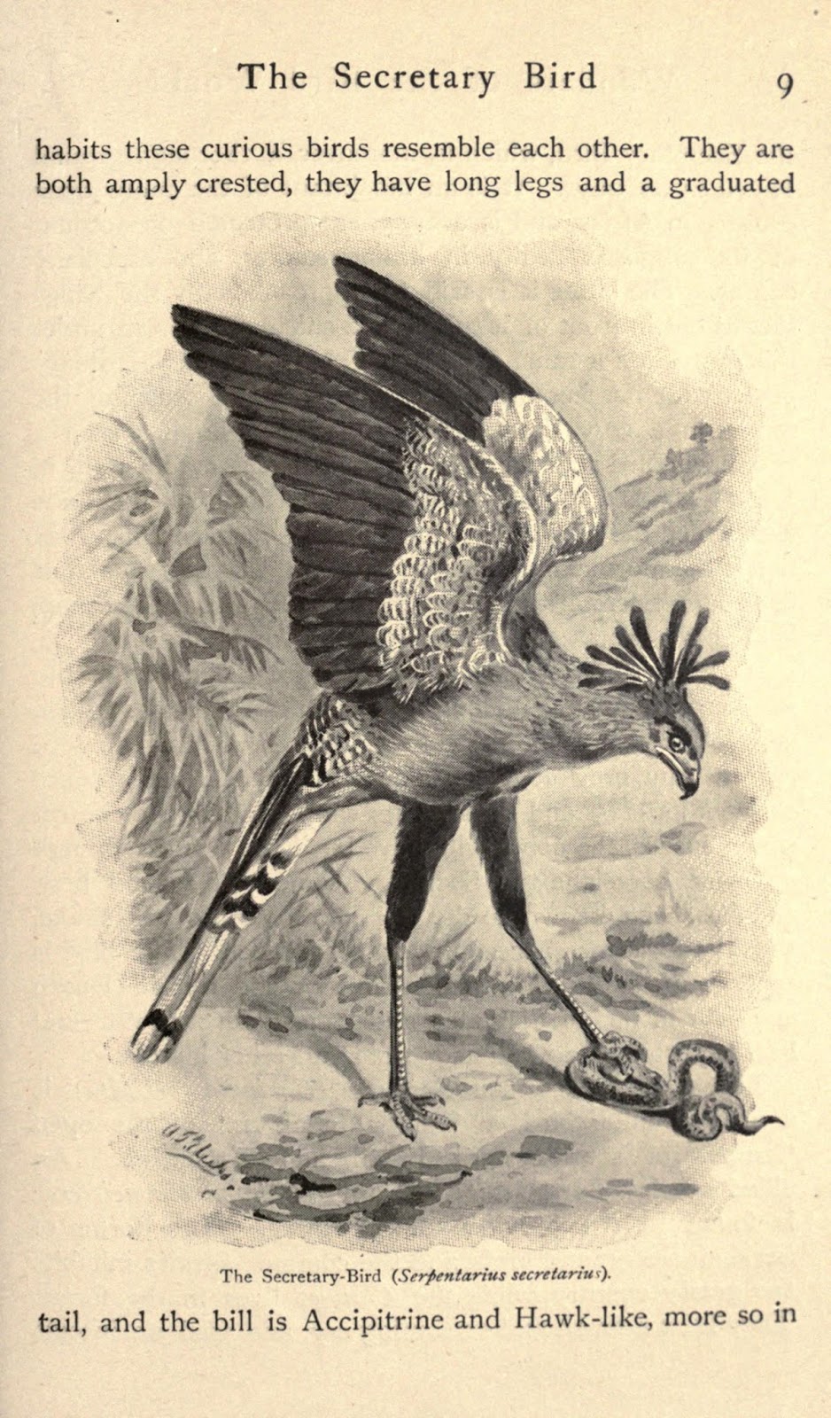 View Full Size Image