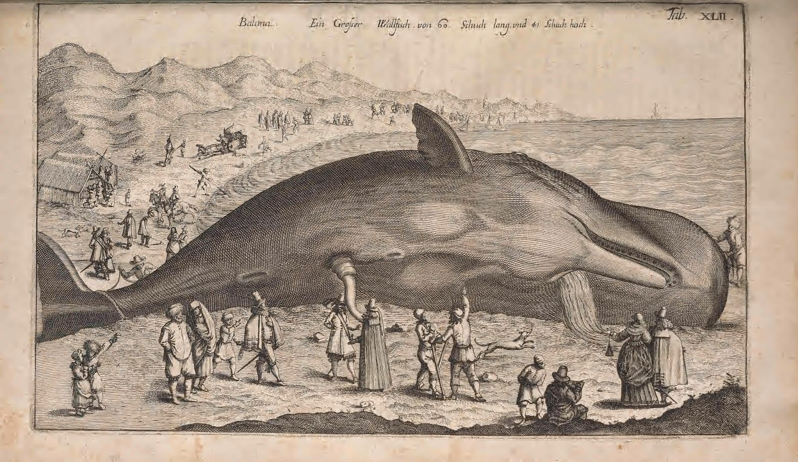 View Full Size Image