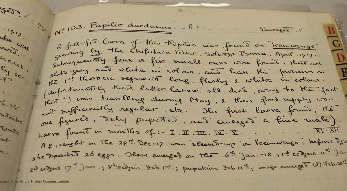 Read the full blog post