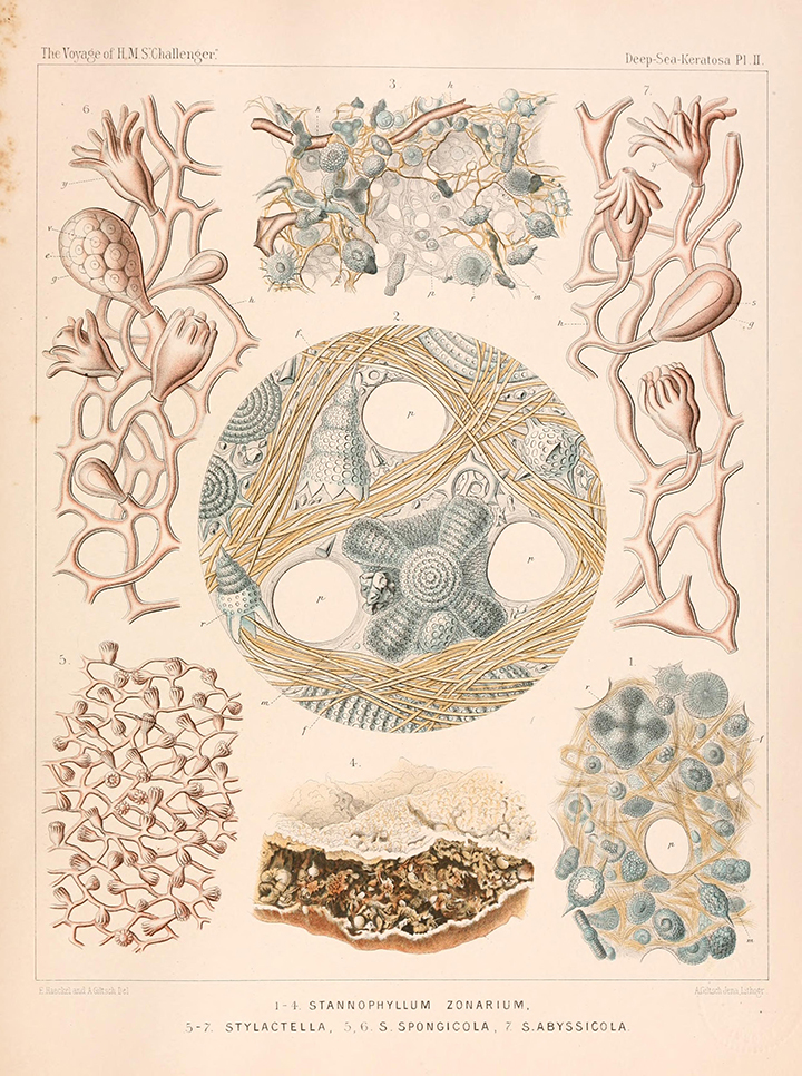 View Full Size Image