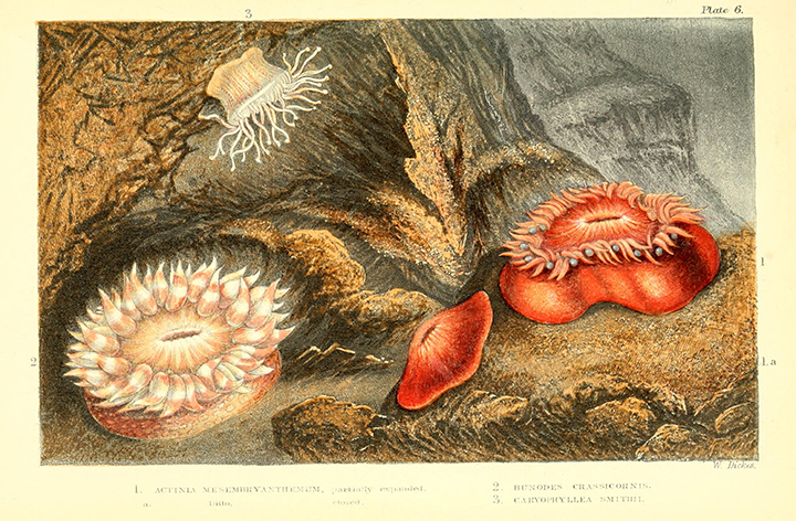 View Full Size Image