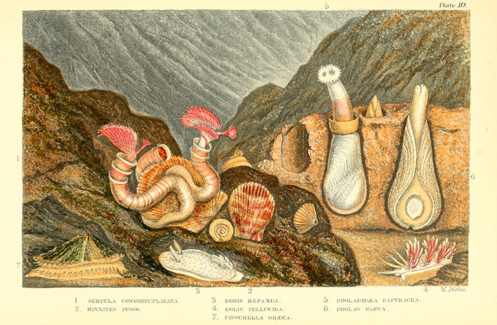 View Full Size Image