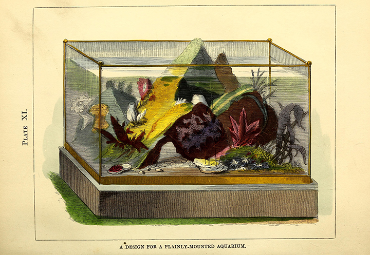 View Full Size Image