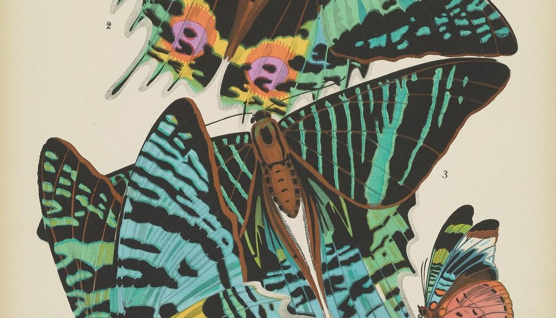 Read the full blog post