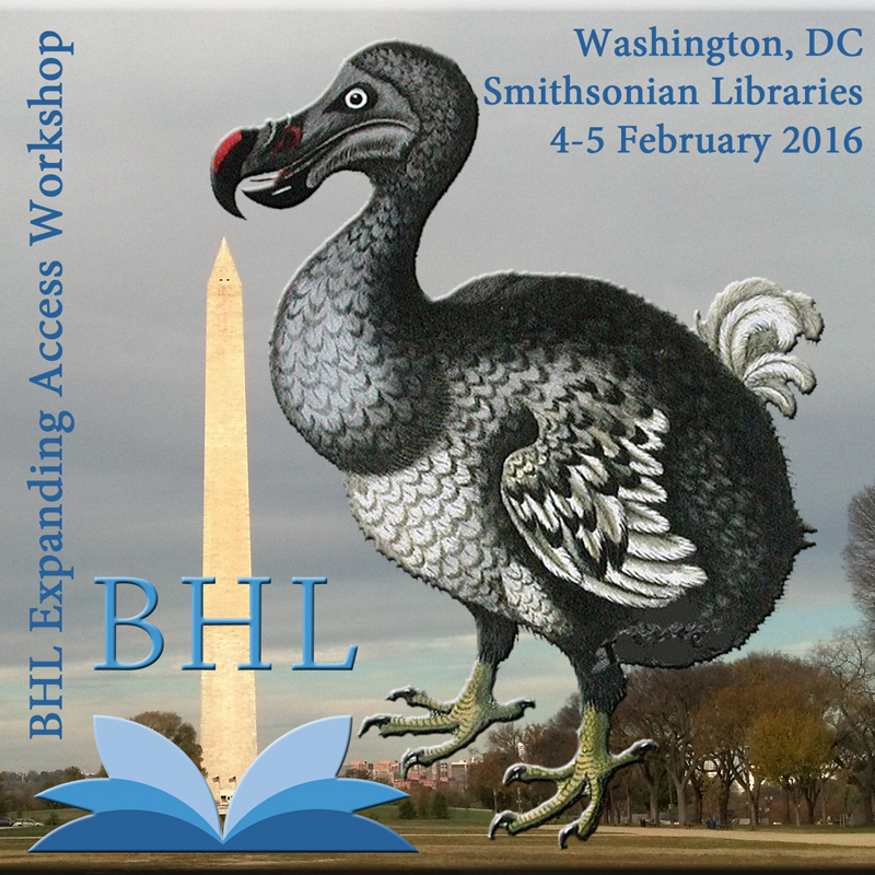 View Full Size Image