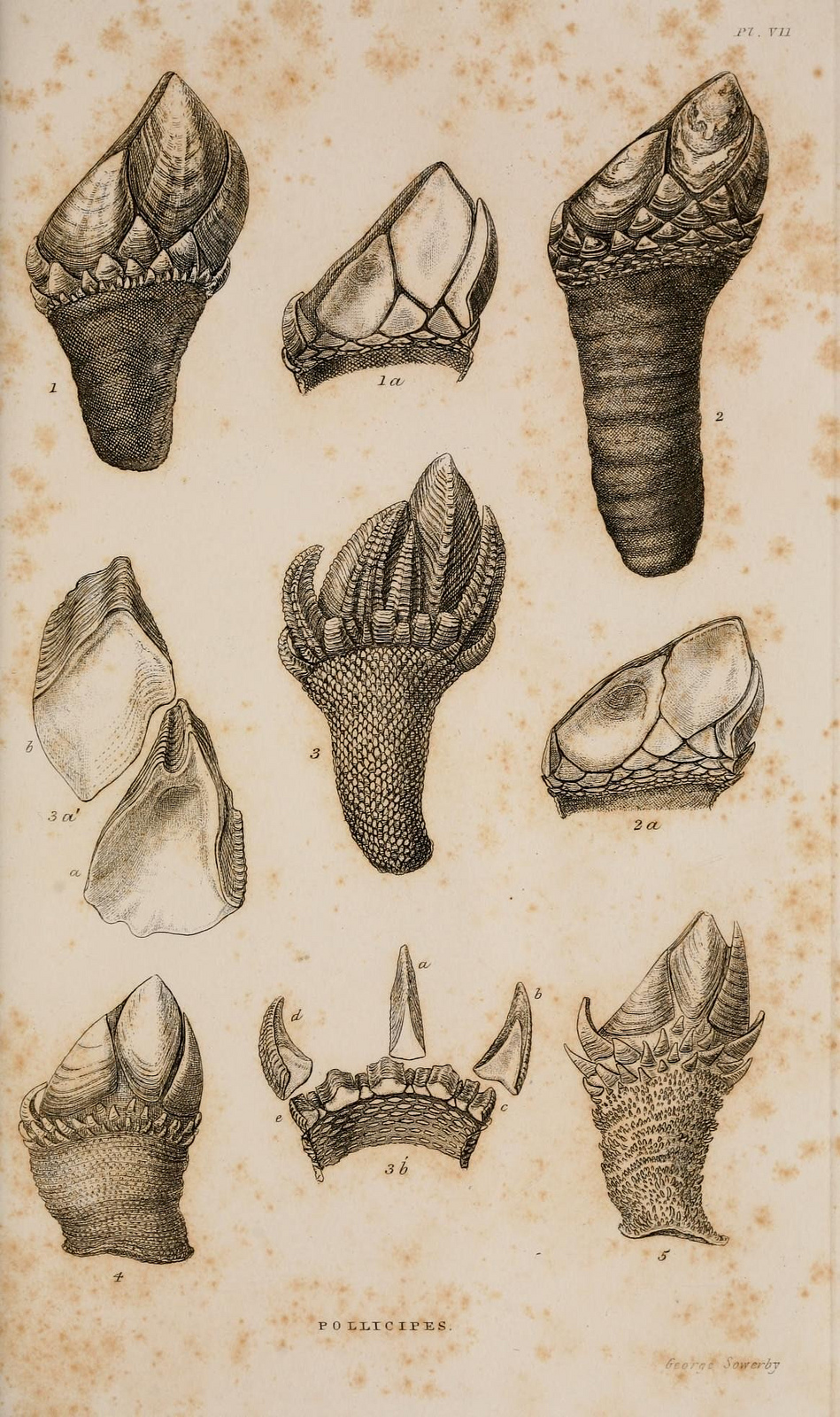 View Full Size Image