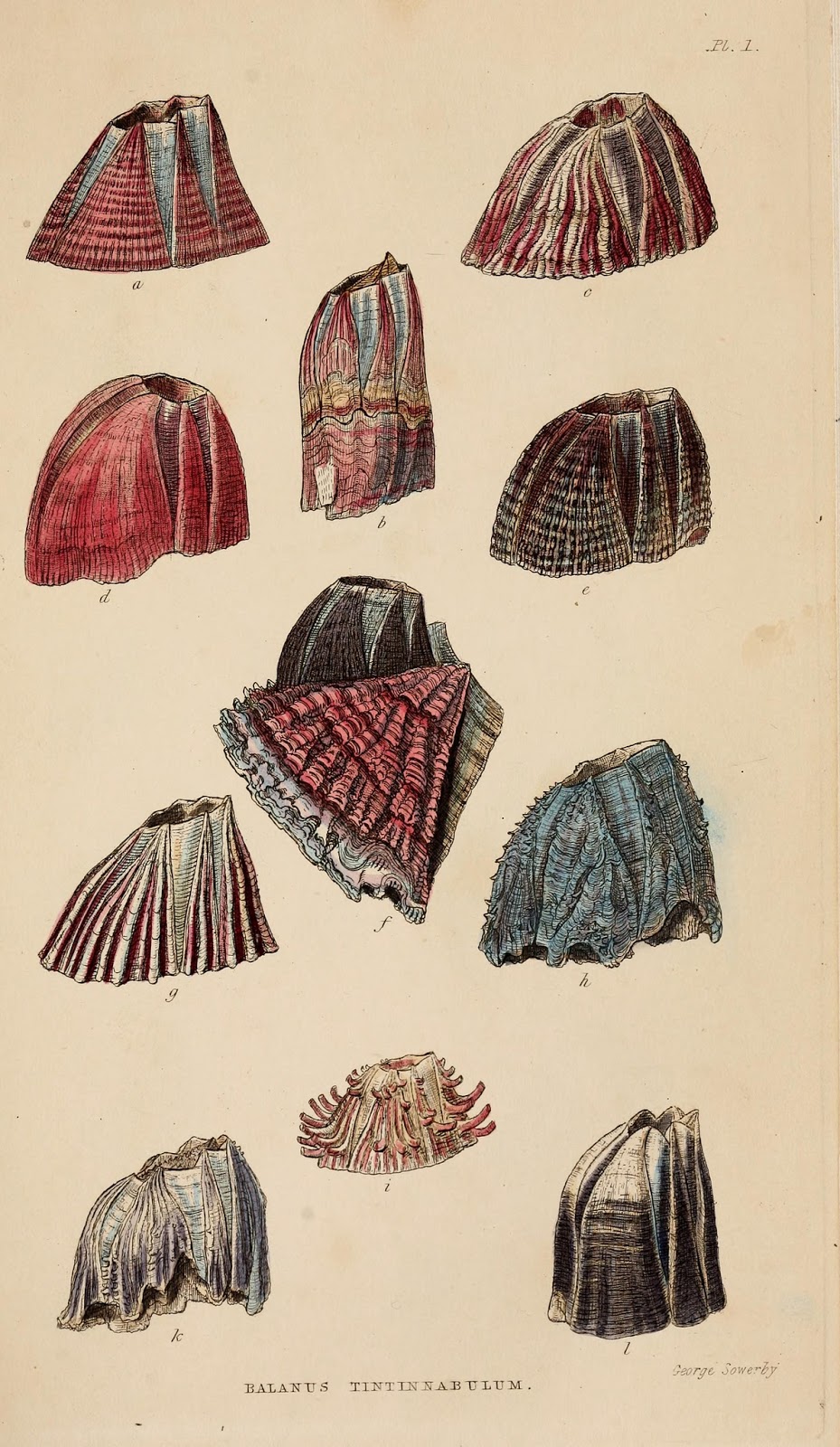 View Full Size Image