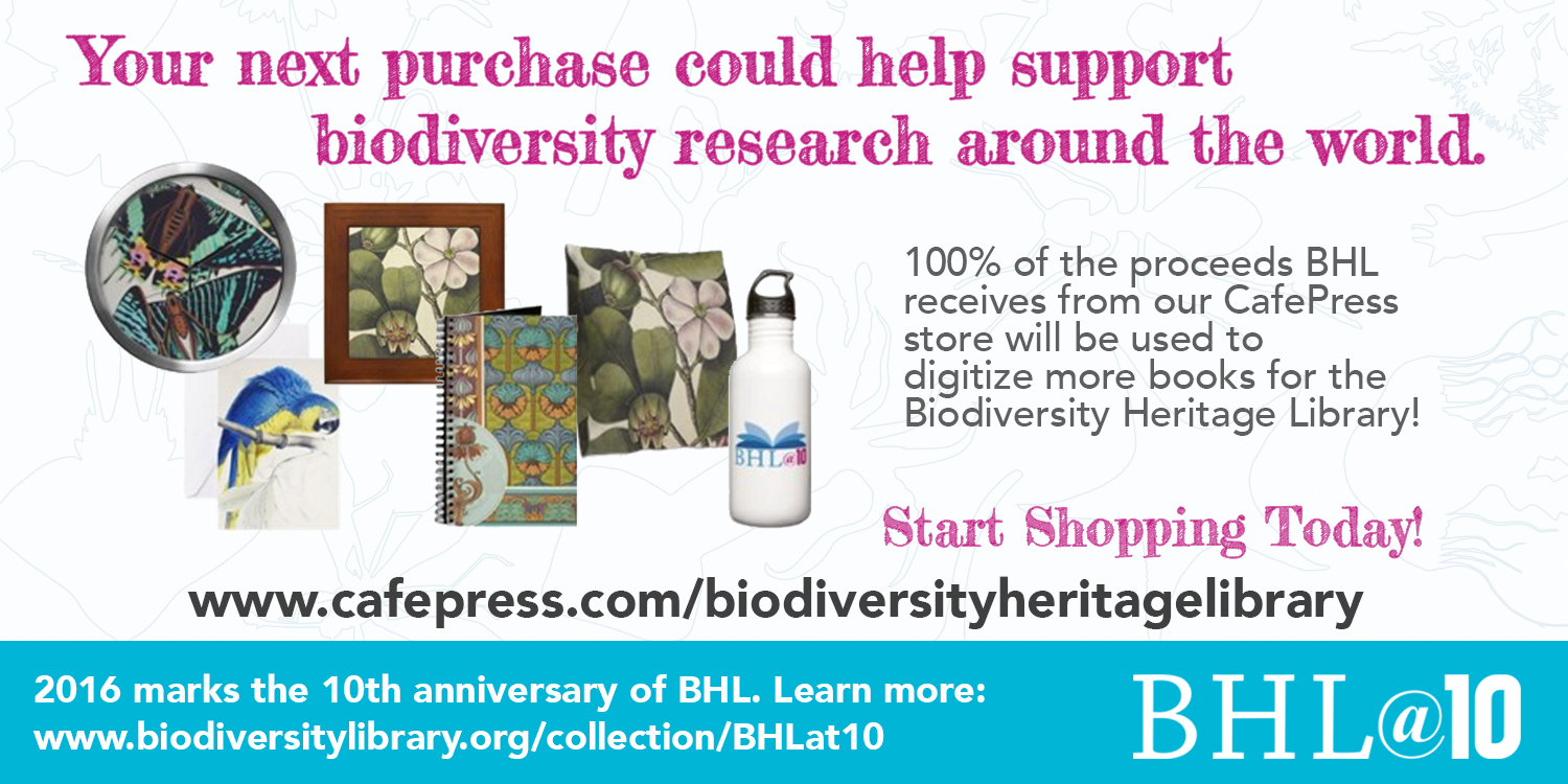 View Full Size Image