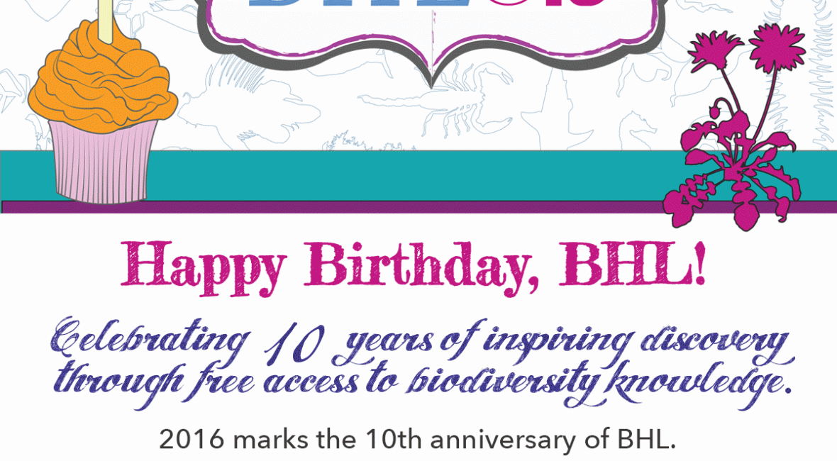 Read the full blog post