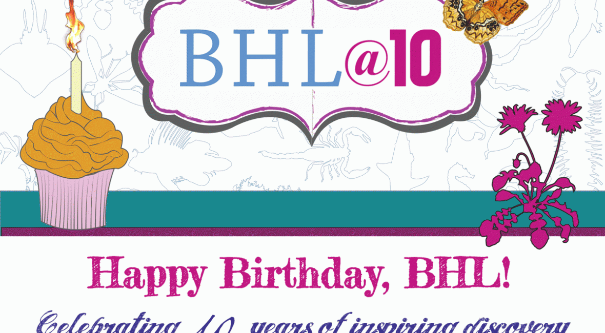 Read the full blog post