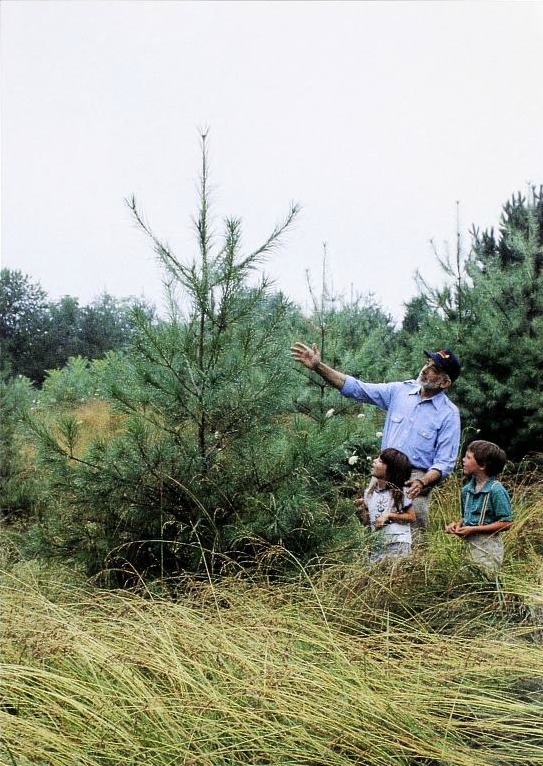 View Full Size Image