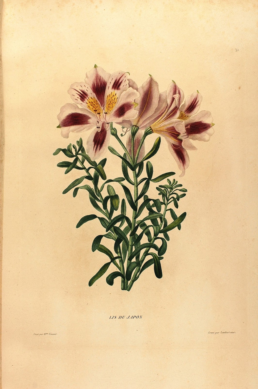 View Full Size Image