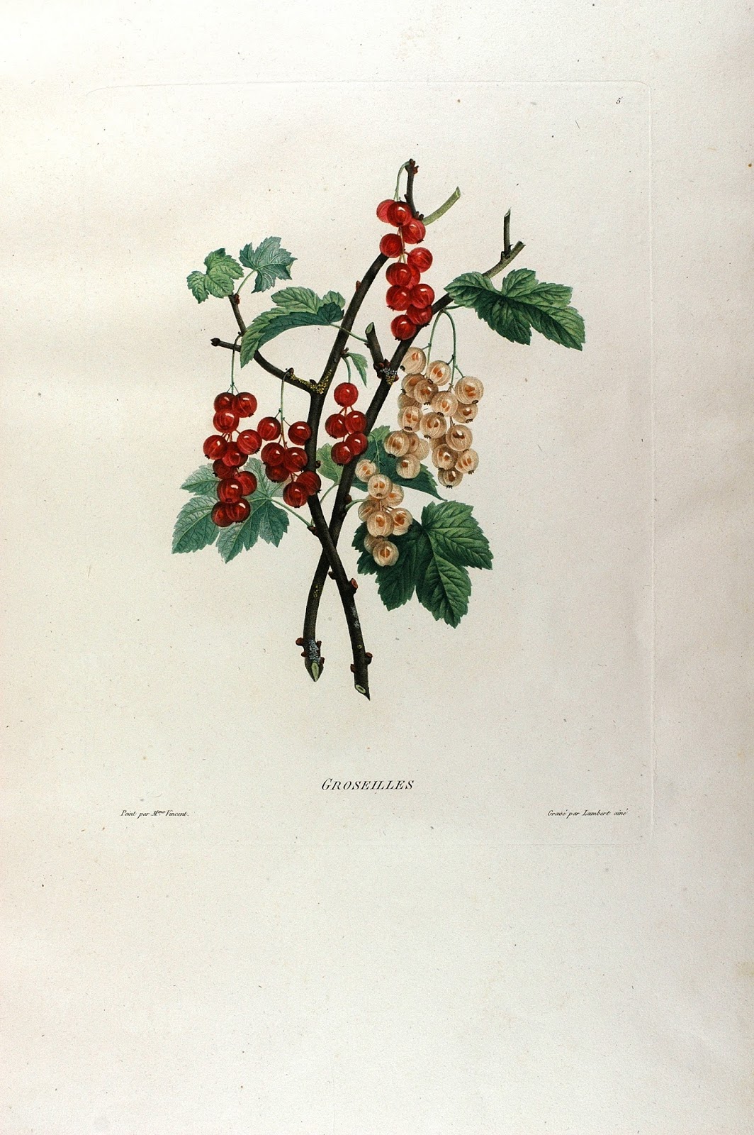 View Full Size Image