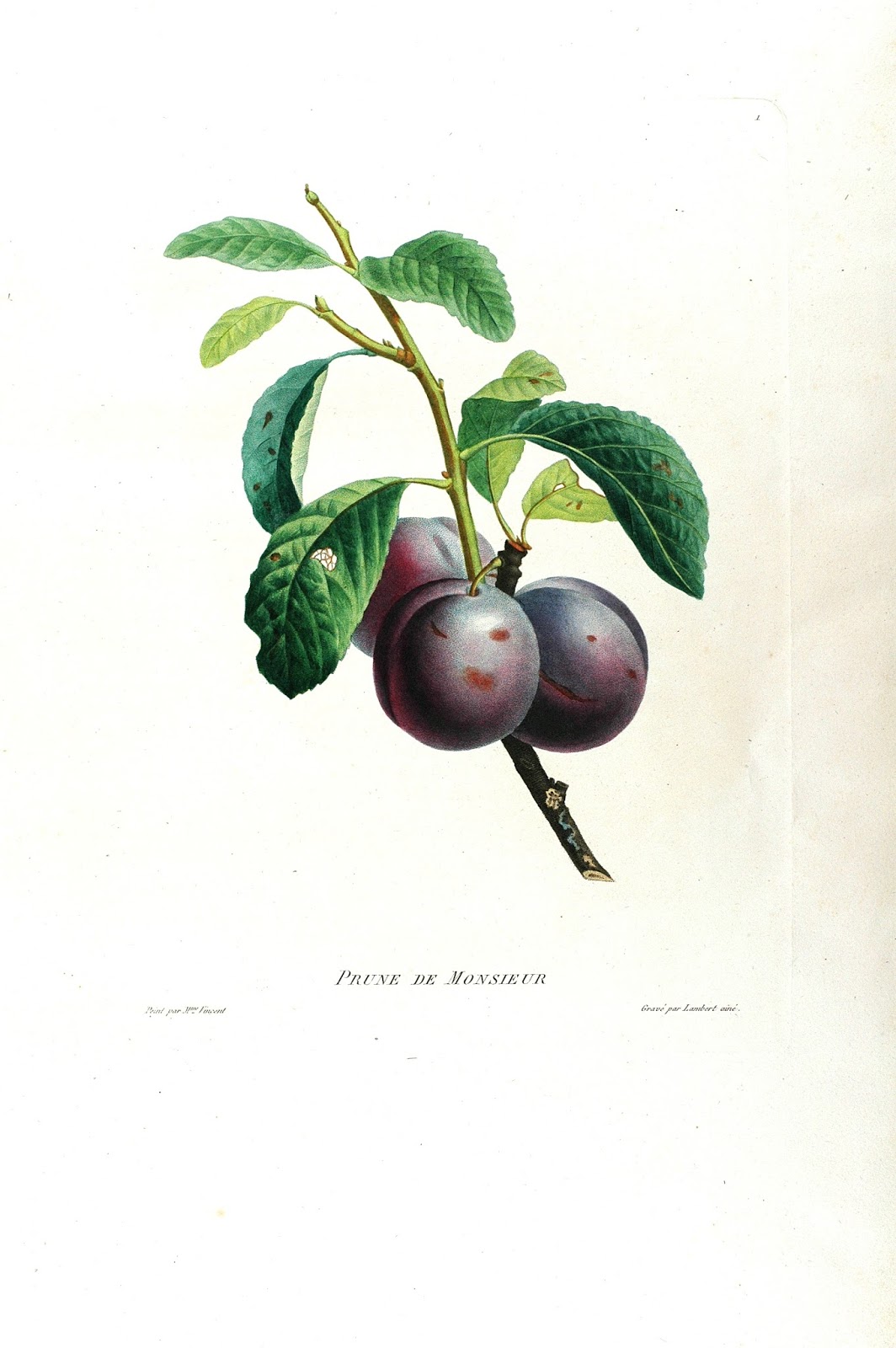 View Full Size Image