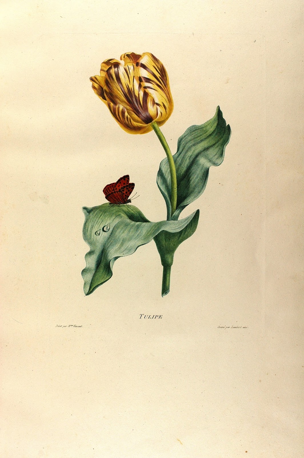 View Full Size Image