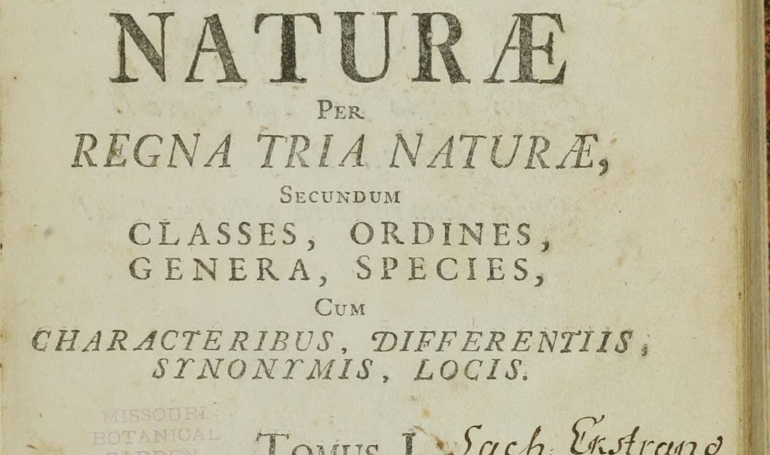 Read the full blog post