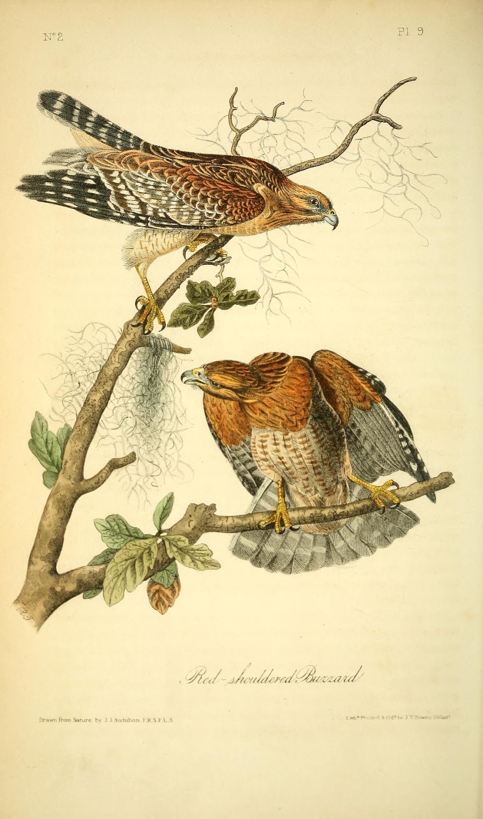 View Full Size Image