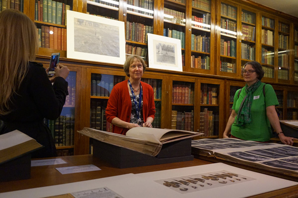 View Full Size Image