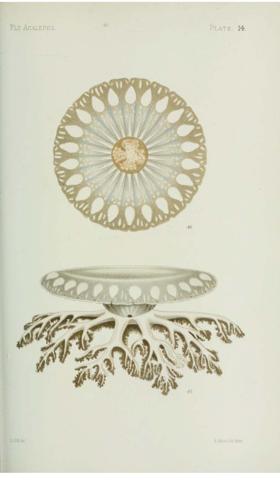 View Full Size Image