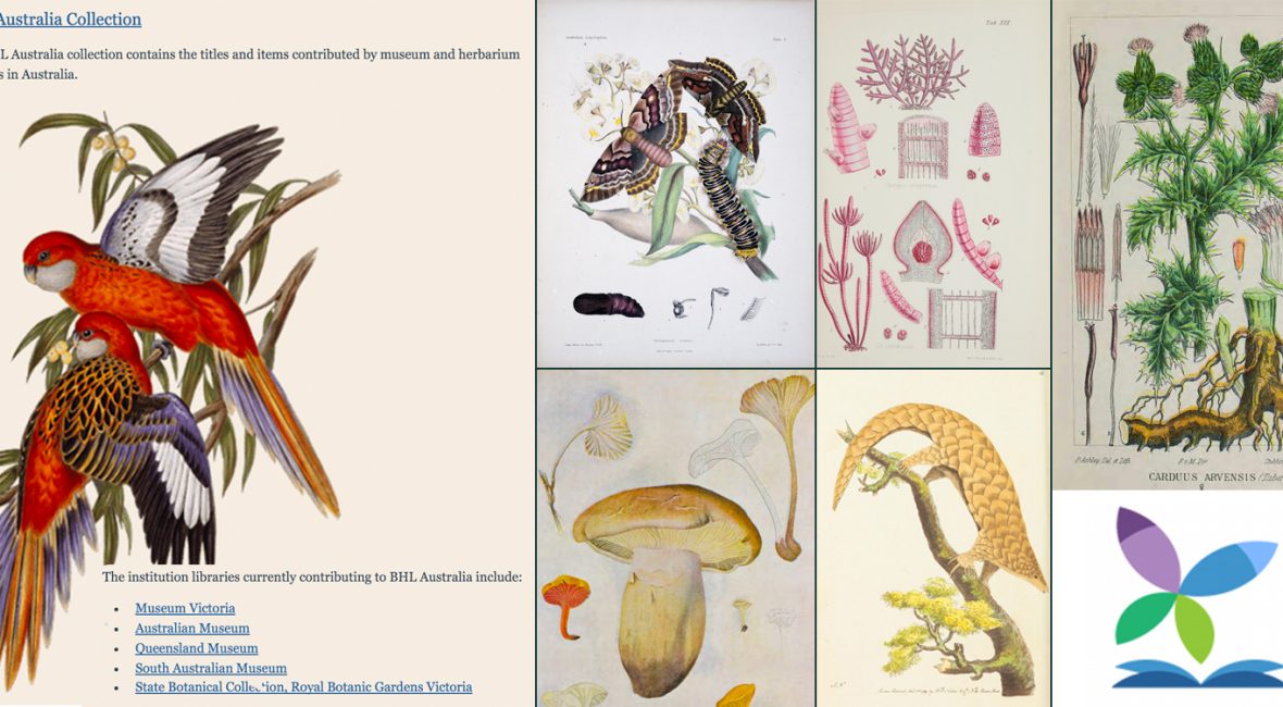 Read the full blog post